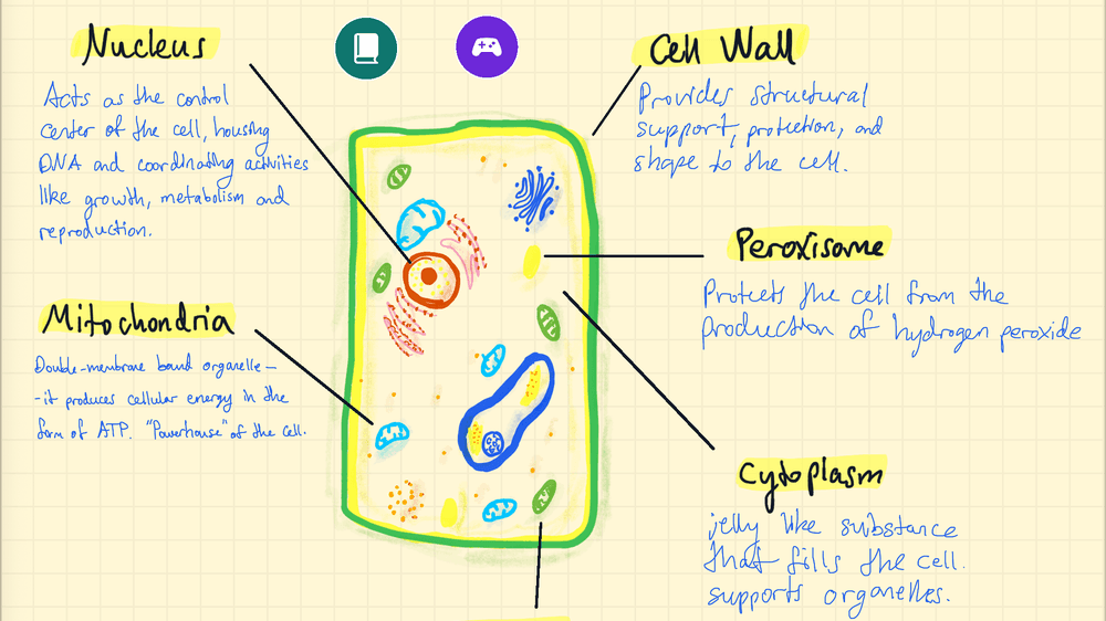How to Turn Handwritten Notes into Flashcards on iPad and iPhone