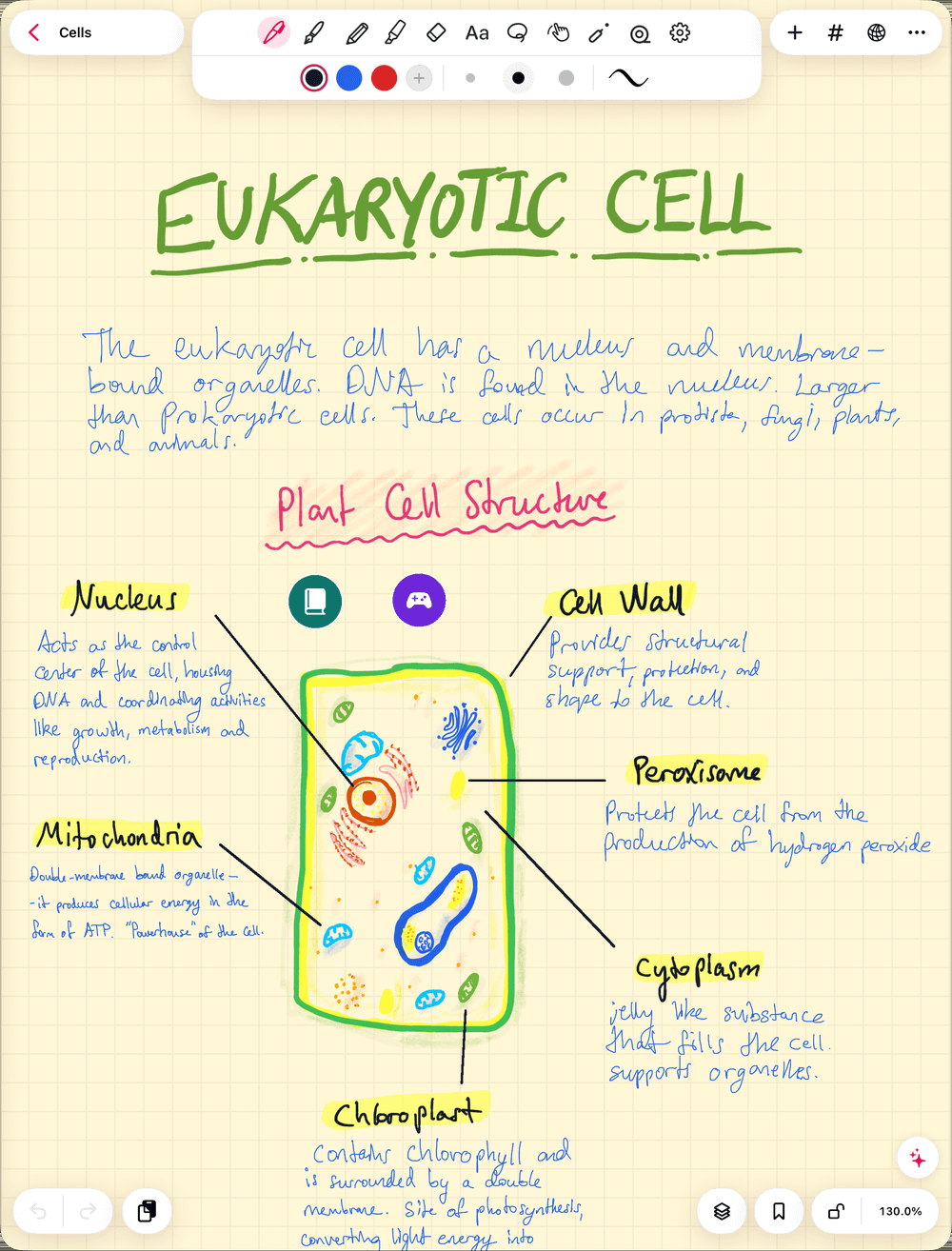 Eine handschriftliche Biologienotiz in Strawberry Notes auf dem iPad: oben in Grün „Eukaryotische Zelle“, ein kurzer Absatz, darunter eine handgezeichnete Pflanzenzelle mit markierten Beschriftungen für Zellkern, Zellwand, Peroxisom, Mitochondrium, Zytoplasma und Chloroplast, jeweils mit einer kurzen handgeschriebenen Definition, und zwei runde Link-Tasten über dem Diagramm.