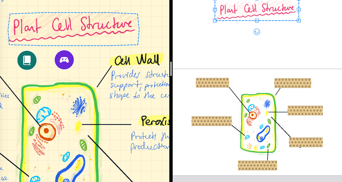 The note and the "Cells" deck side by side on iPad. The pink handwritten title "Plant Cell Structure" is still in the note on the left, and a copy of it, just dropped, sits selected on the front of the diagram card in the deck.