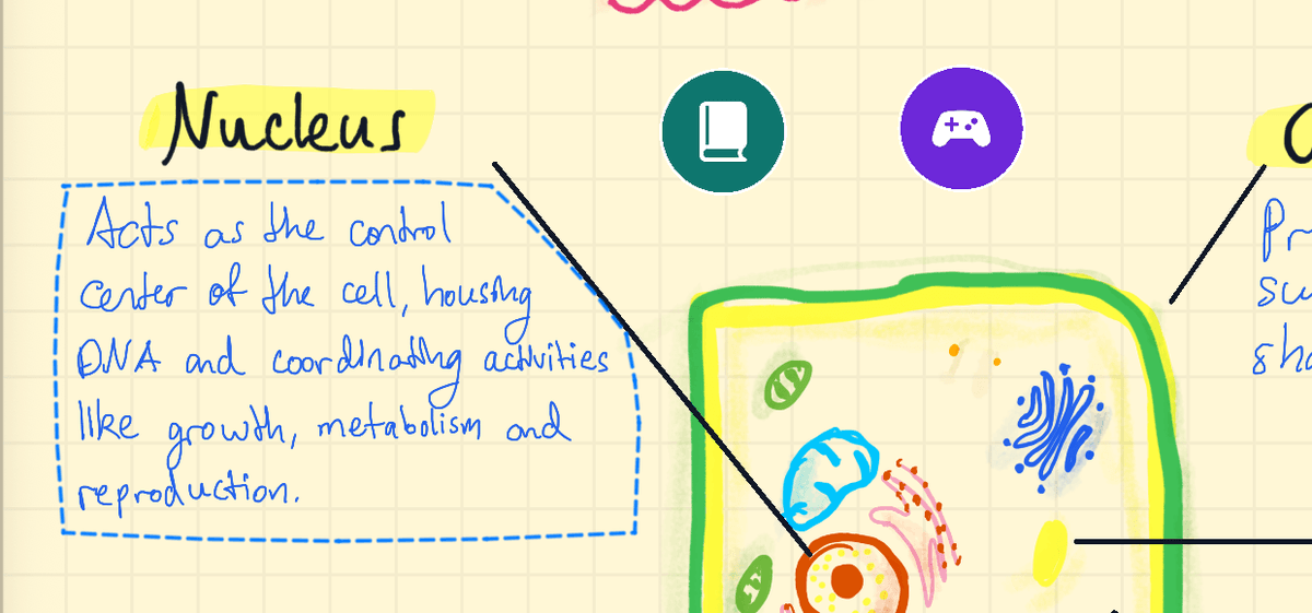 A close-up of the cell note with a dashed blue lasso around the handwritten definition under "Nucleus": "Acts as the control center of the cell, housing DNA and coordinating activities like growth, metabolism and reproduction." The label itself and the diagram are left out.