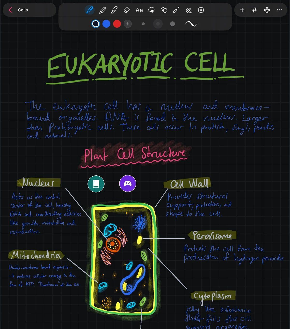 A handwritten biology note about the eukaryotic cell, with a labelled plant cell diagram