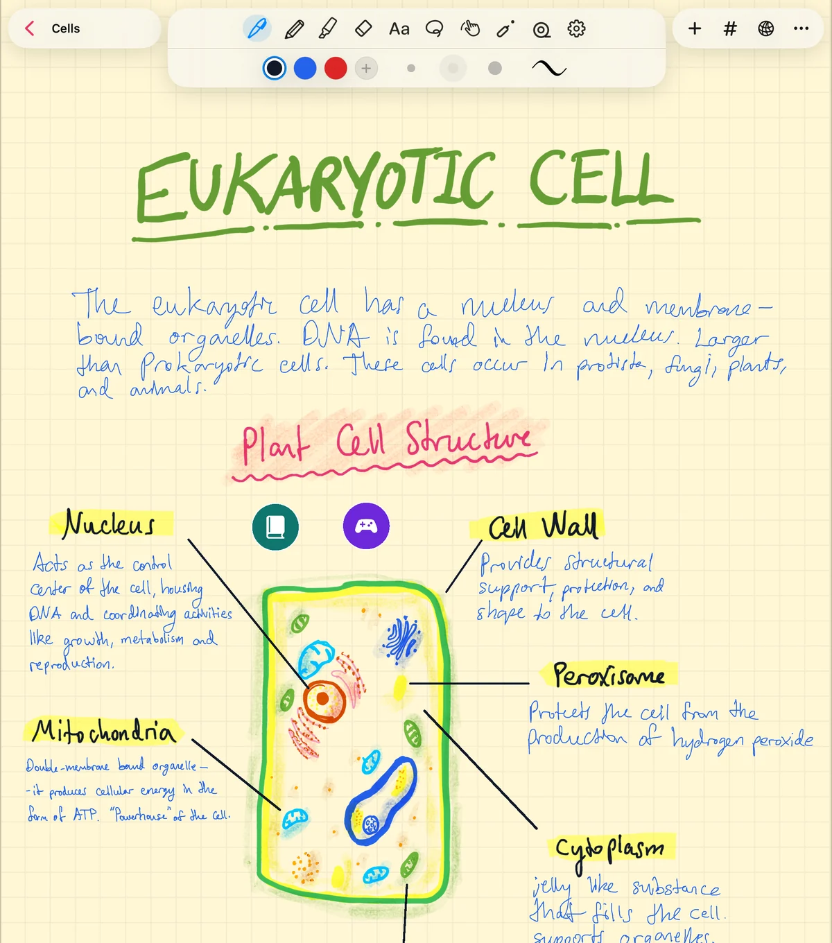 A handwritten biology note about the eukaryotic cell, with a labelled plant cell diagram