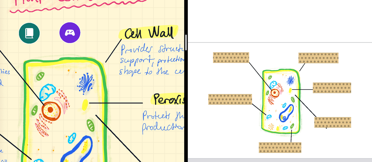 Il diagramma della cellula nella nota accanto a una carta in cui il nastro copre tutte e sei le etichette